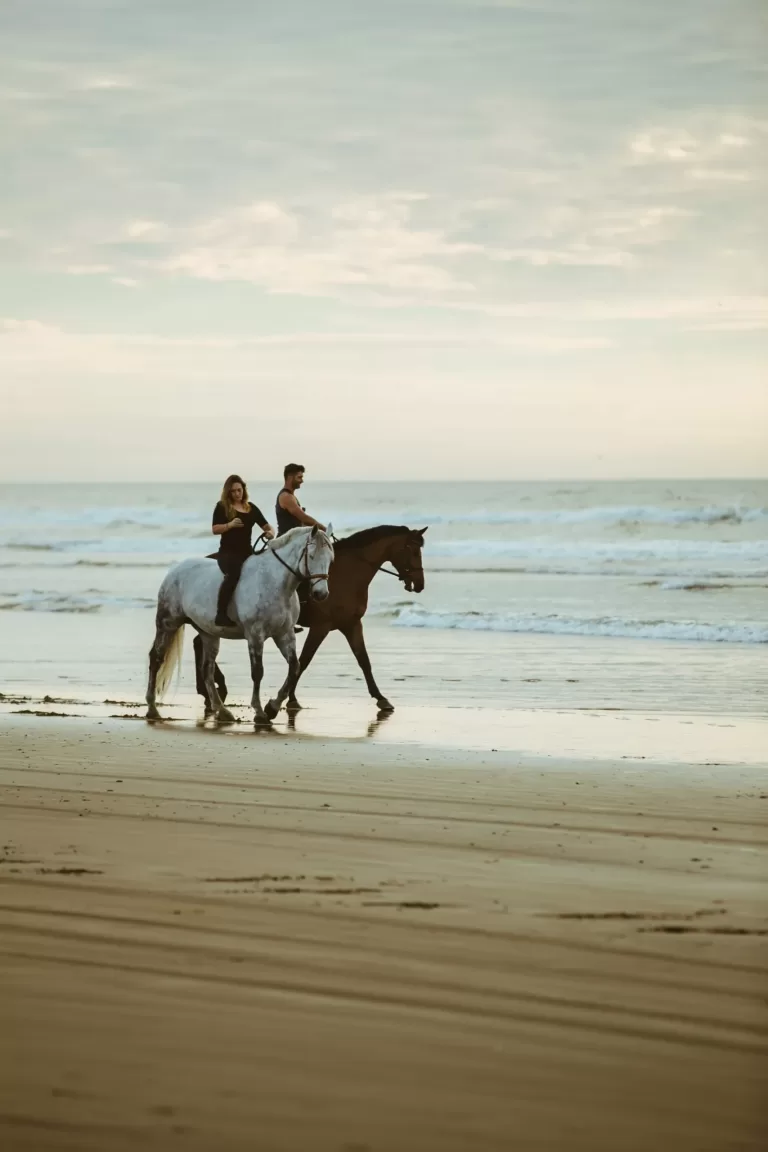 people riding horses