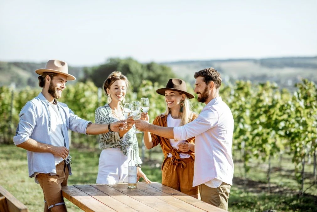 people in a vineyard