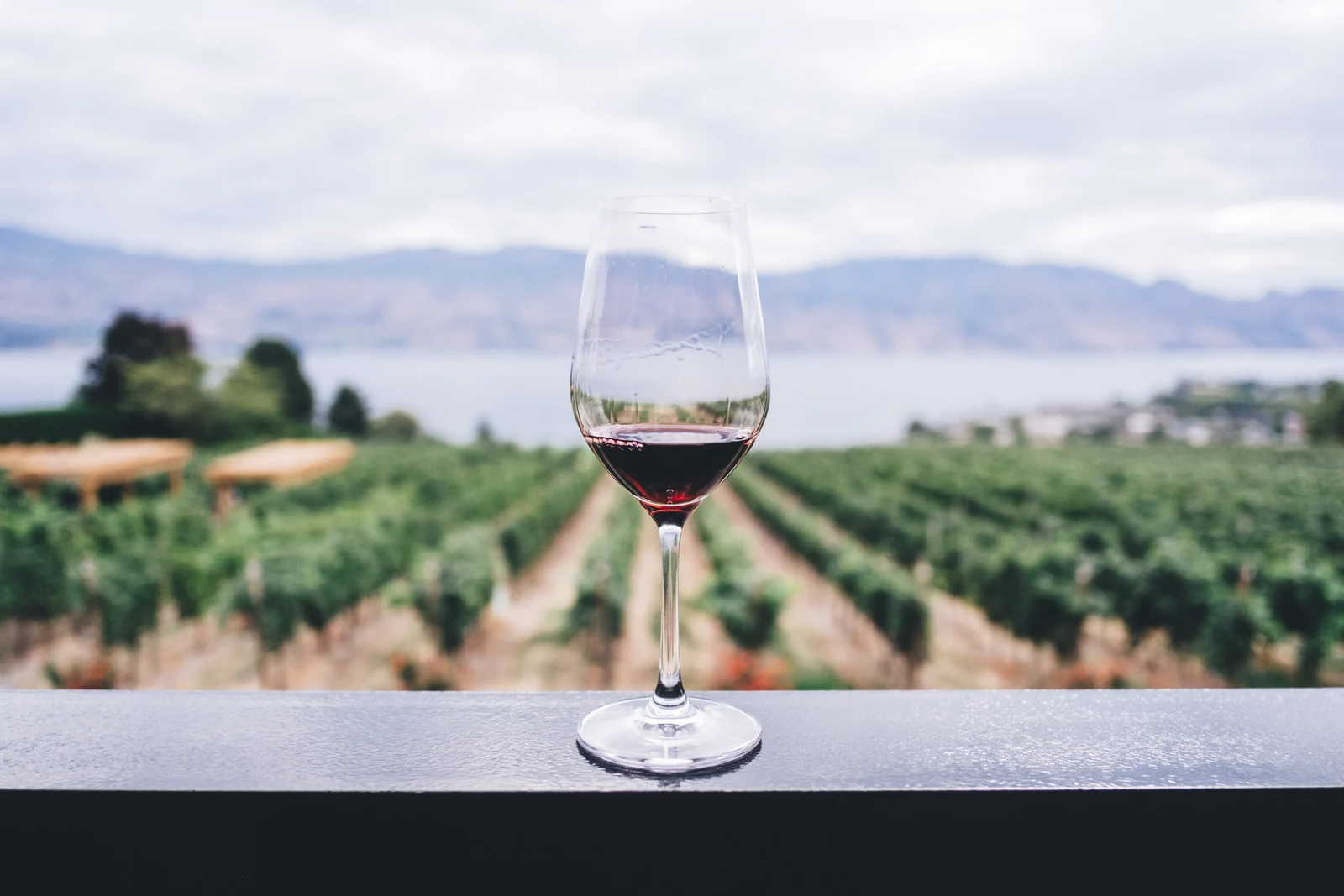 vino rosso
